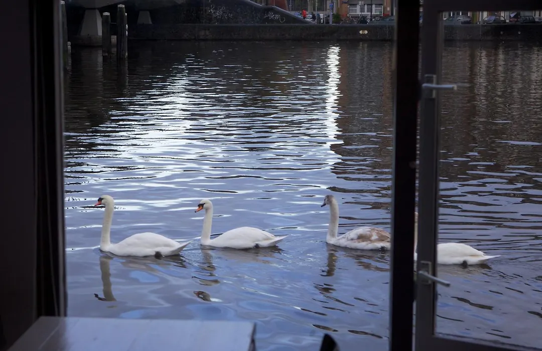 Houseboat Little Amstel-1