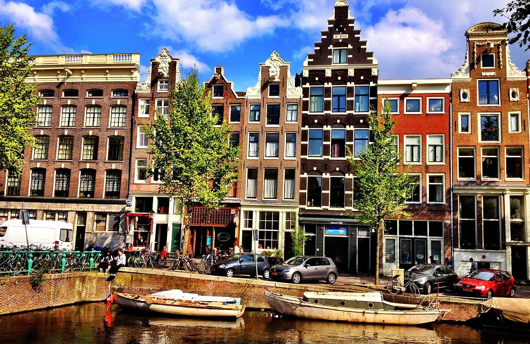 Tulip Of Amsterdam-1