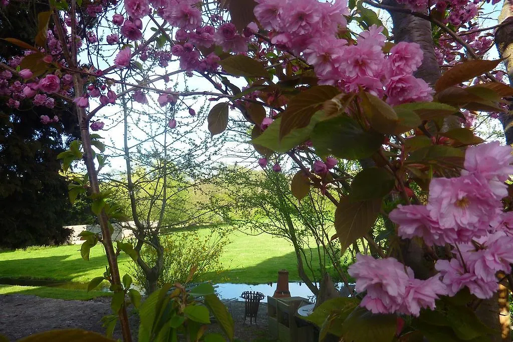 B&B Bloom-1