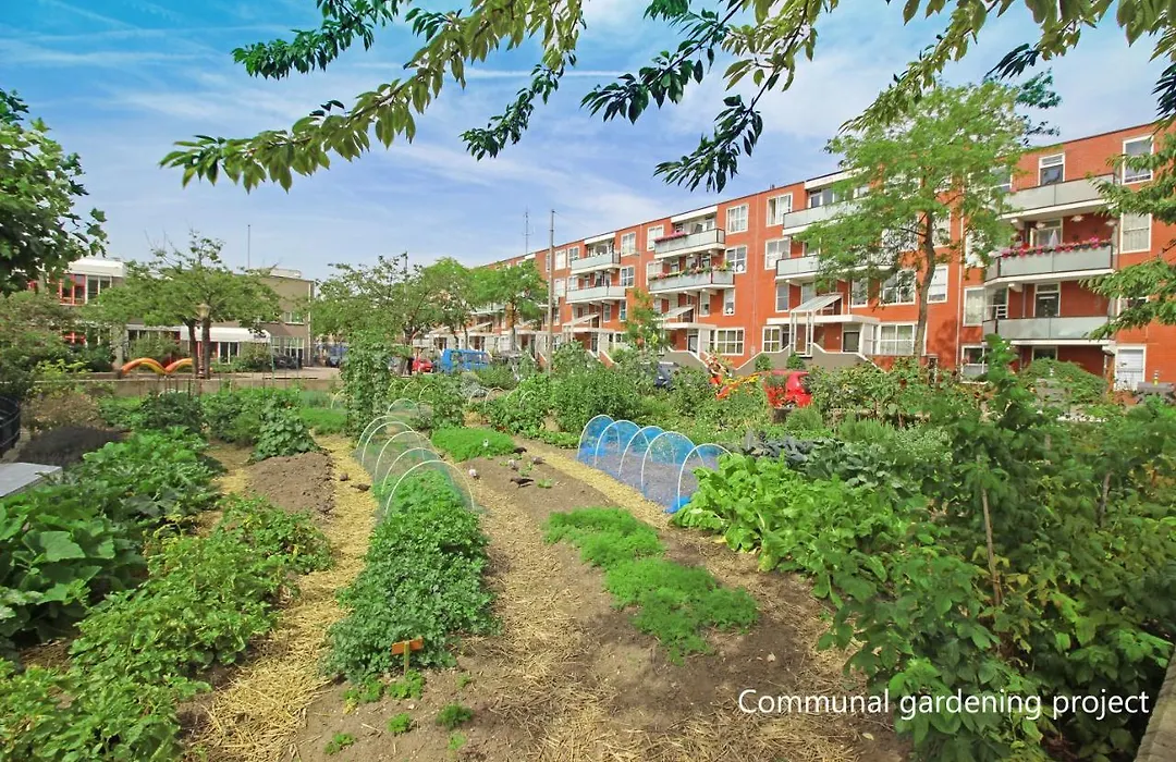New Monumental Garden View Studio-1