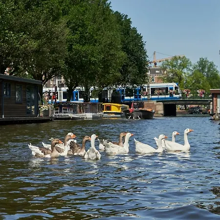 The Amsterdam Houseboat Family - De Pijp-2