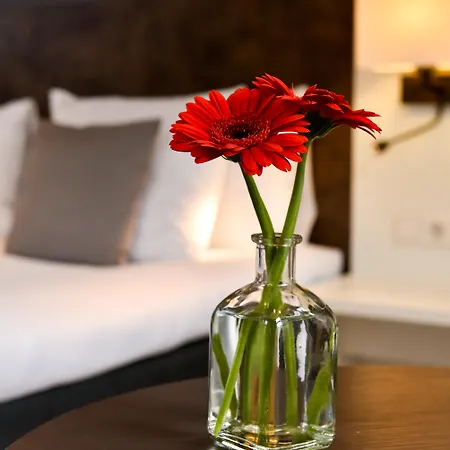 Hotel Amsterdam De Roode Leeuw-3