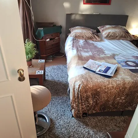 Homey Budget Bedroom-2