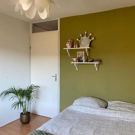 Great House For Two In Amsterdam-3