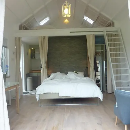 B&B Bloom-2