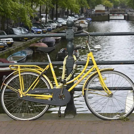 Studio Quaamsterdam-2