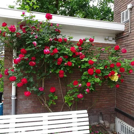 Xaviera'S Bed And Breakfast-2
