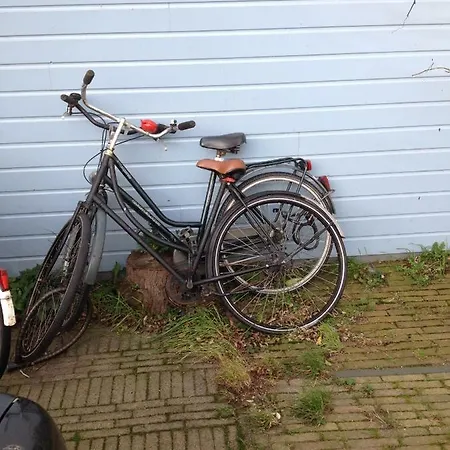 Het Witte Huis-2